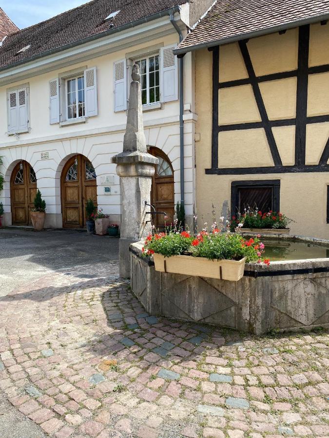 La Maison Des Fontaines D'Alsace Ferrette Экстерьер фото