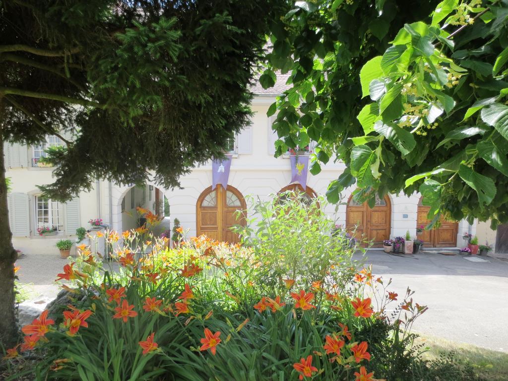 La Maison Des Fontaines D'Alsace Ferrette Номер фото