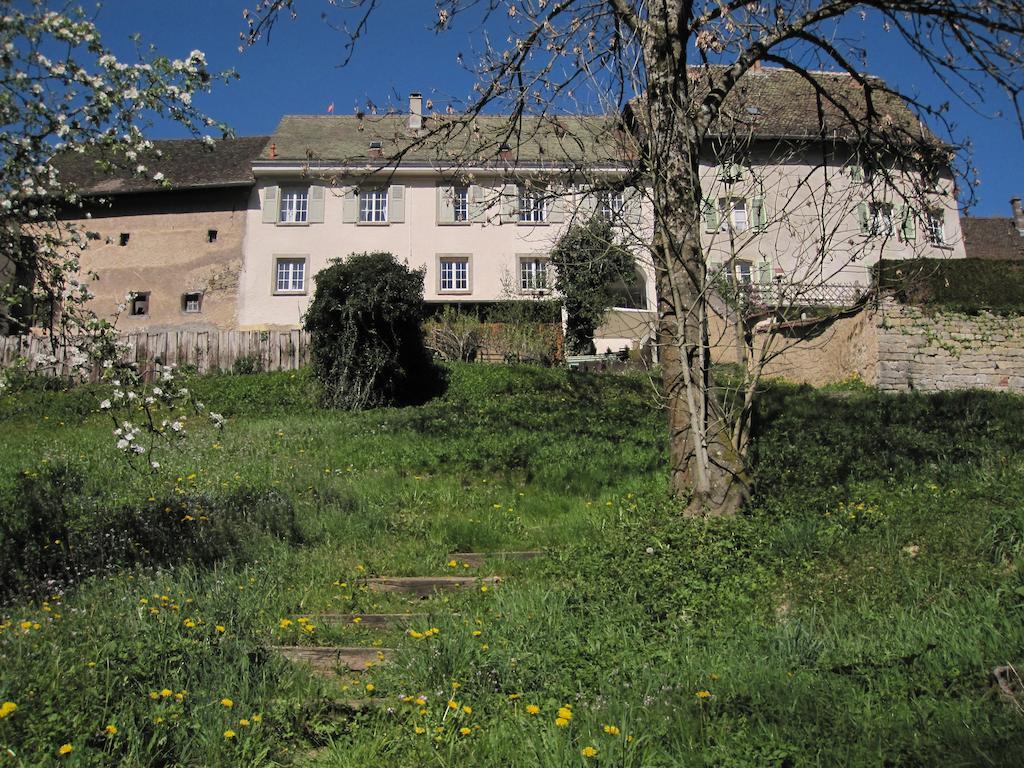 La Maison Des Fontaines D'Alsace Ferrette Номер фото