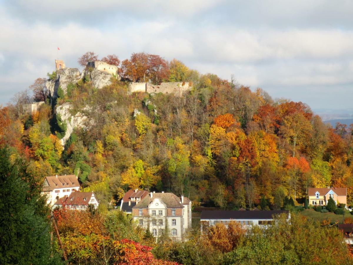 La Maison Des Fontaines D'Alsace Ferrette Экстерьер фото